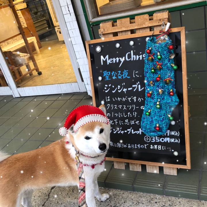 7e1a56e3 6a09 467d 99bf 5f3a20a6308a 1735117431915