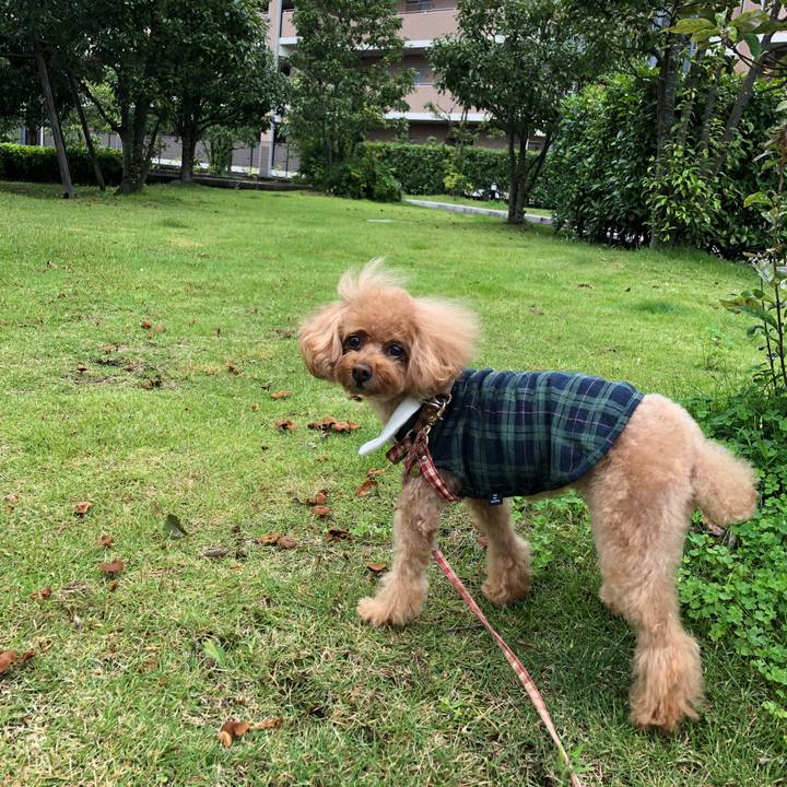 7e1a6a4a c56f 45c6 a4fc 1934979ba50a 1537966784110