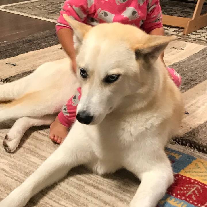 7e1a6cc5 dfa5 4a89 8699 bdabd1dfa63d 1529939324174