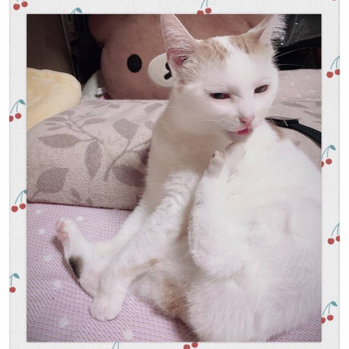 7e1a9c52 92b8 47e9 b3a5 09b47f1d3888 1600517752551