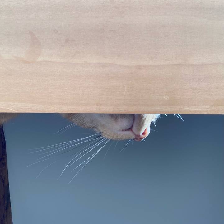 7e1a9ed0 b170 4802 bd12 3d7be54c8ddb 1613867821315