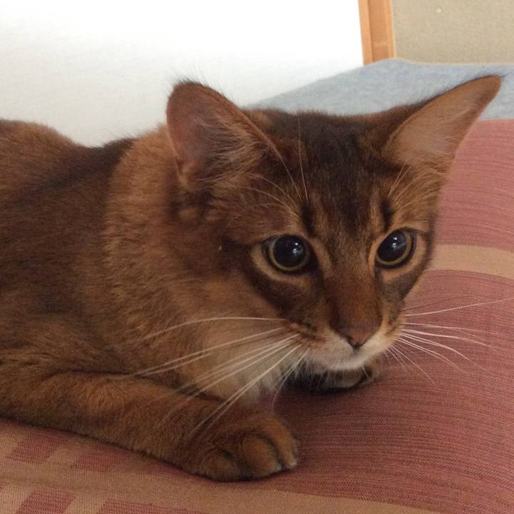 7e1aa12e 4515 42a6 a760 0b0356101373 1590542053072