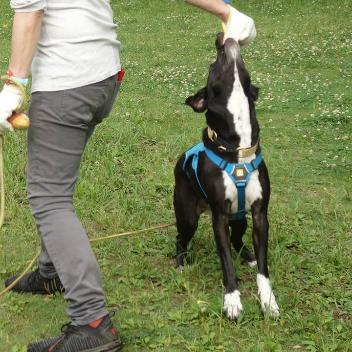 7e1ab25c 7042 4ee2 8296 962734991ca5 1621813747793