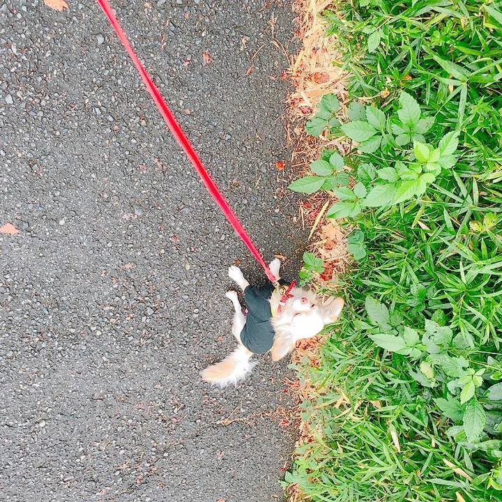 7e1ad813 3644 486a a5a5 f8d86e9f30a1 1634037804236