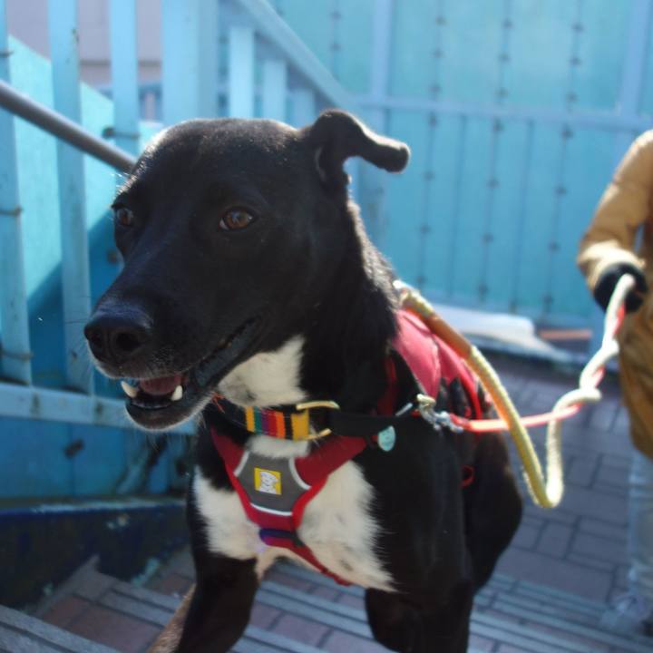 7e1aeb12 1d71 47c7 a5b8 d1ad594dd88c 1584491202147