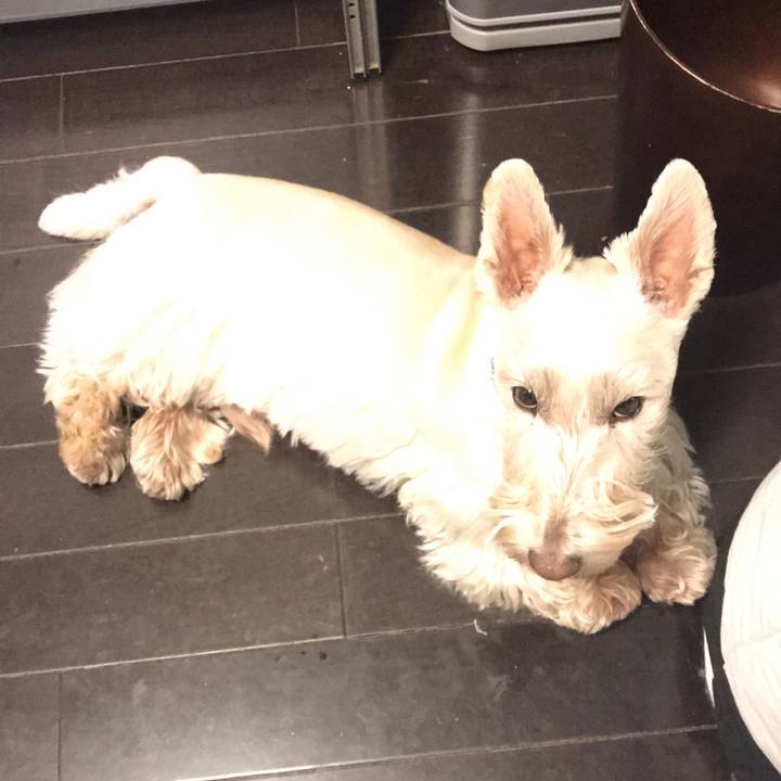 7e1b1e44 9ae5 4d18 96ff c2aaf0fdad88 1549089671006