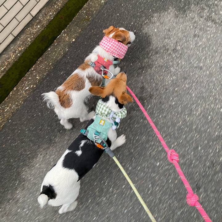 7e1b28ee 58ed 40ec 979f b2002140e724 1754950634283