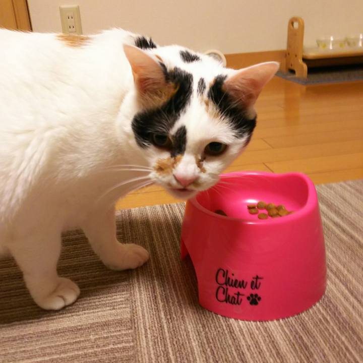 7e1b33be 7caf 46e9 bf13 2f2e8b3e7f6a 1546502859880