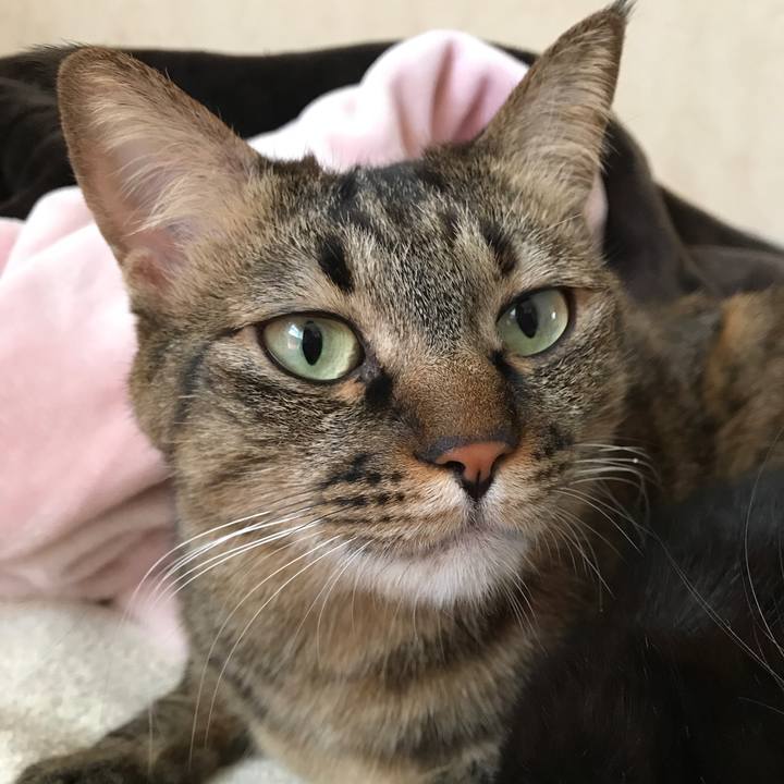 7e1b468d 6dfc 4e4e 91d2 f64c08d51b38 1523667959261