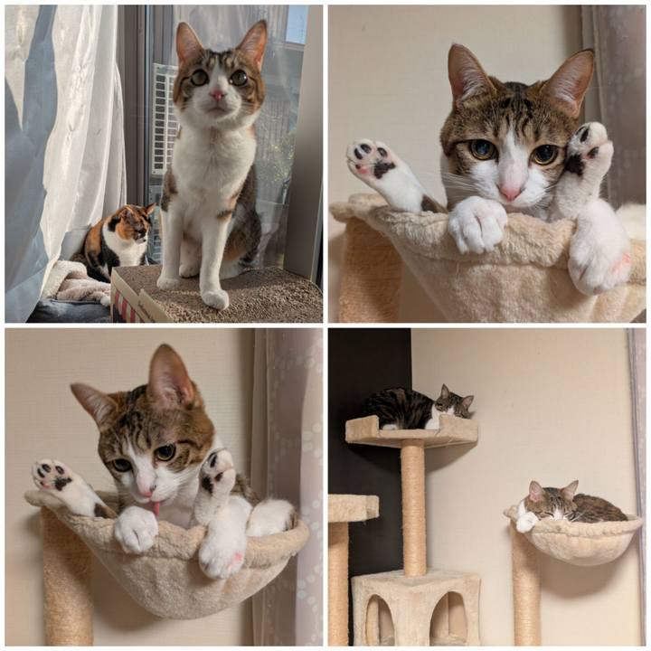 7e1b9810 cf50 4782 992c bd4cee793872 1774332020926