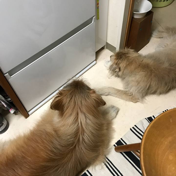 7e1ba7cd 888e 4262 970d f4c75056d4bb 1626781162888