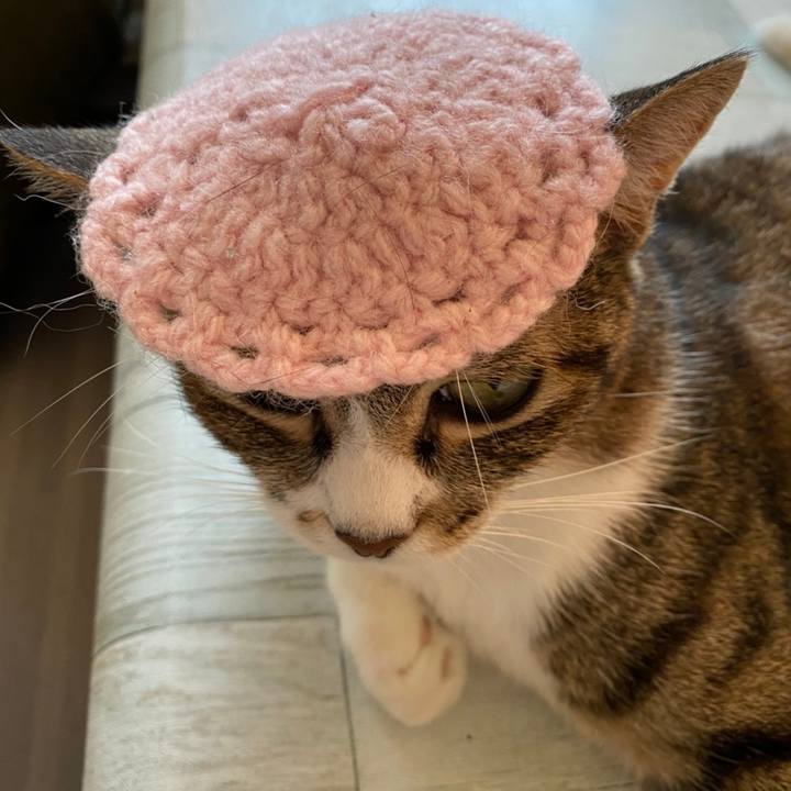 7e1be3e1 cb19 4082 9f02 727cb14cb75f 1628319930460