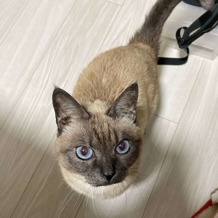 7e1be468 2c54 4443 8f31 aecd4214d097 1769954559606