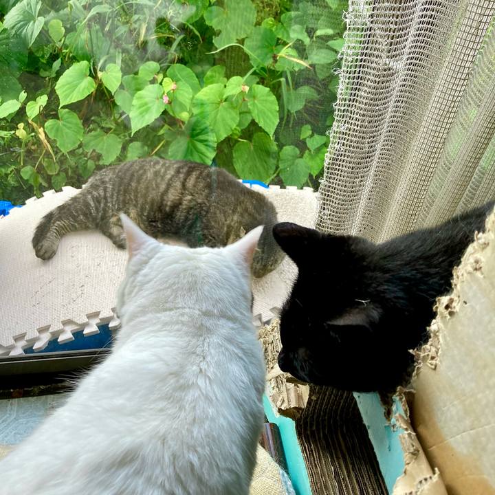 7e1bfe0d cad5 4cb4 b45b 012dc653ecde 1658651624996