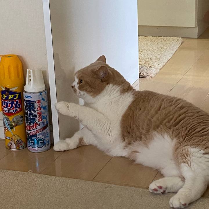 7e1c1493 535b 4b4b 8648 39a1b34d9421 1623807630830