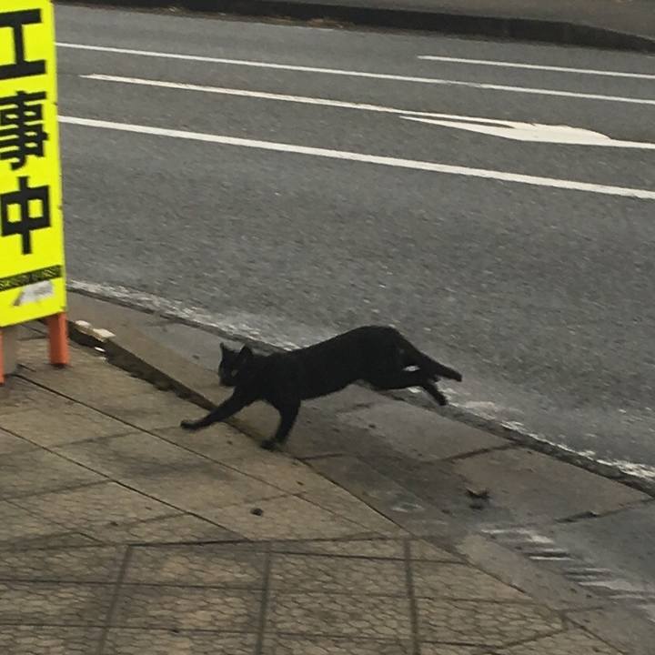 7e1c2de6 ee63 4cb4 8e11 20a147ac5fcd 1542783356765