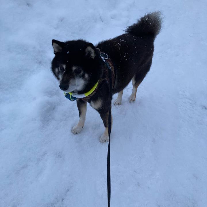 7e1c3841 673d 4362 8b20 98d587333565 1672633368506