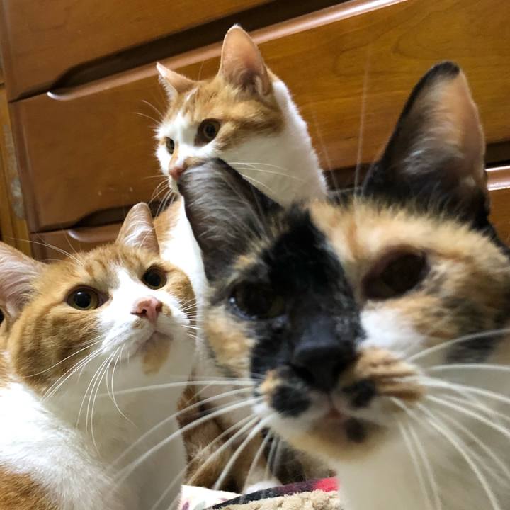 7e1c3cb9 d21f 4bbe b8b3 f2c3dde5d924 1606749675200