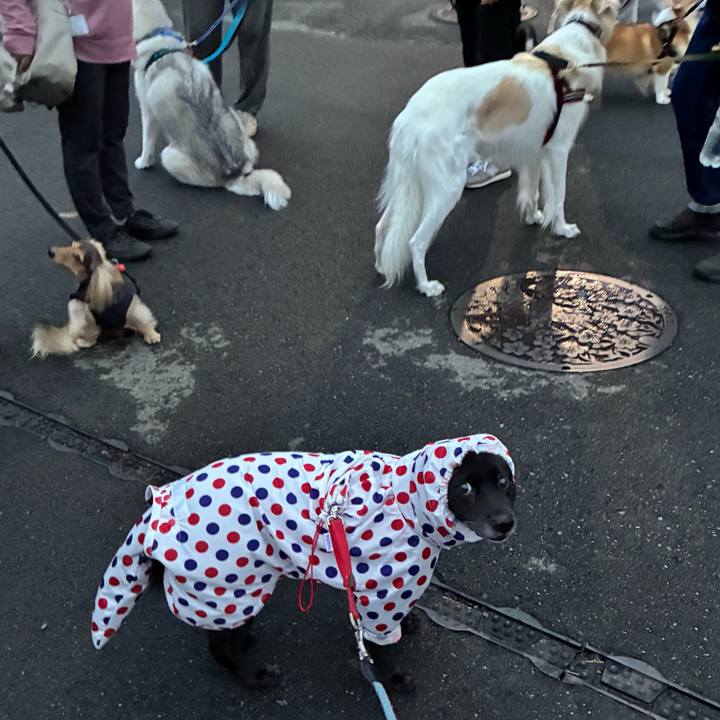 7e1c404f 7797 431b adf3 9c7ffc621cf9 1760869597156