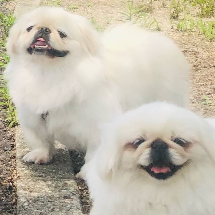 7e1c477e ae5c 41ed 9bf5 c7d2ce541e85 1624861743914