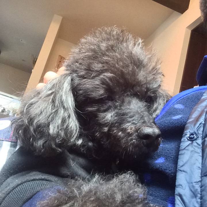 7e1d246b aab0 4258 b551 49e3aa9c83a4 1547180282528