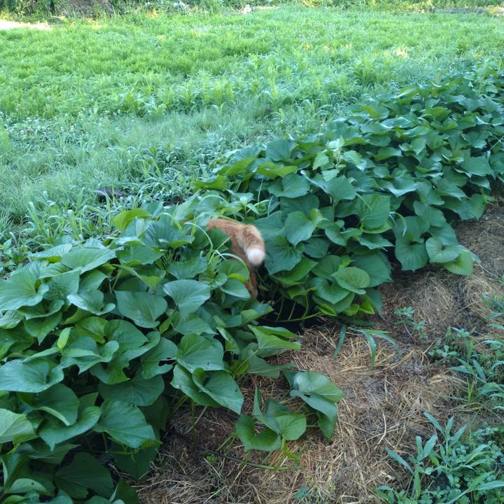 7e1d33f5 8f37 4381 8d06 2ec18c0e2043 1691103041994