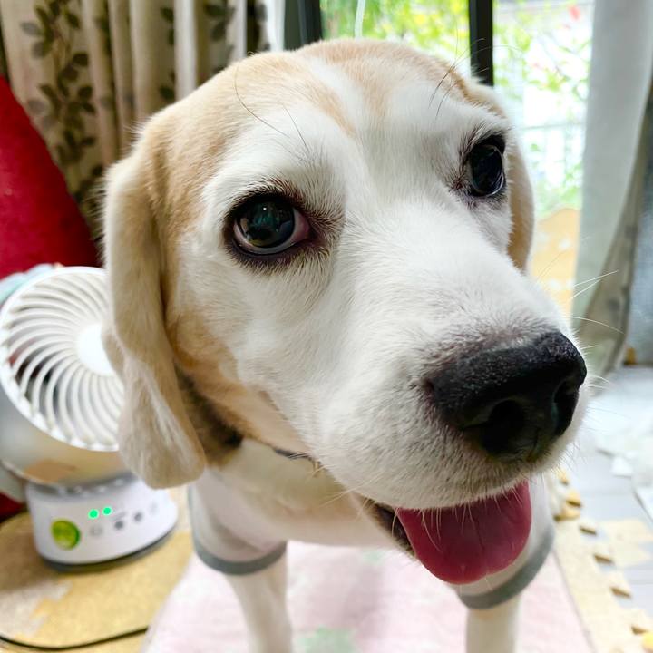 7e1d4d56 d27e 49f1 83ef cfd81dfbc49e 1623901255592