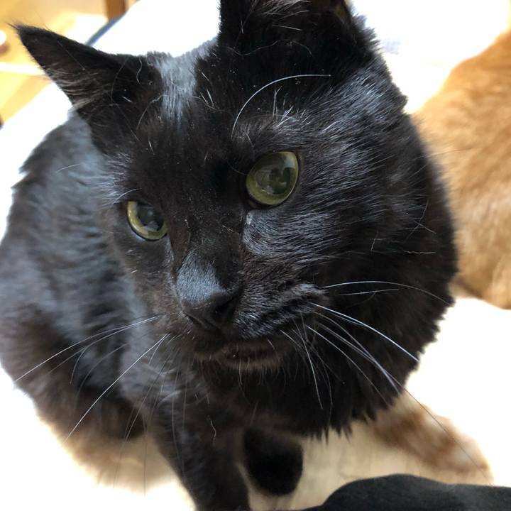 7e1d5b6b 91db 42f4 8a43 82e46265ee98 1592579052588