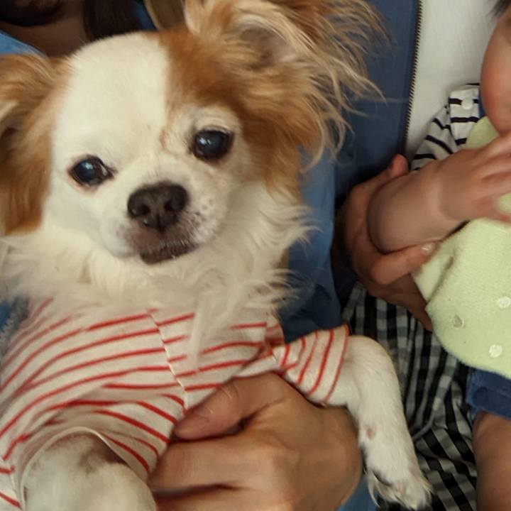 7e1db3b3 d6fa 4a58 9897 4e6766c6978d 1651643355920