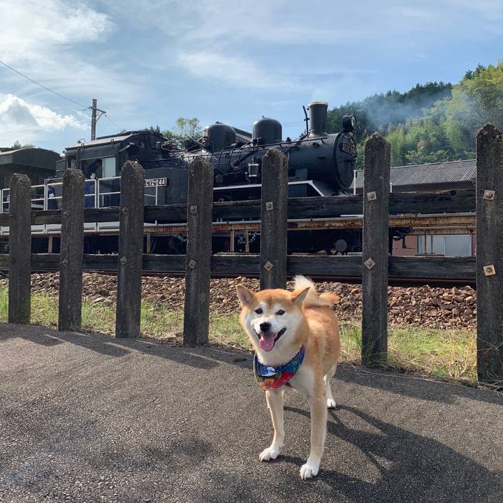 7e1db83d ef24 473f bbdd 1f6f4c9dc677 1572160455868