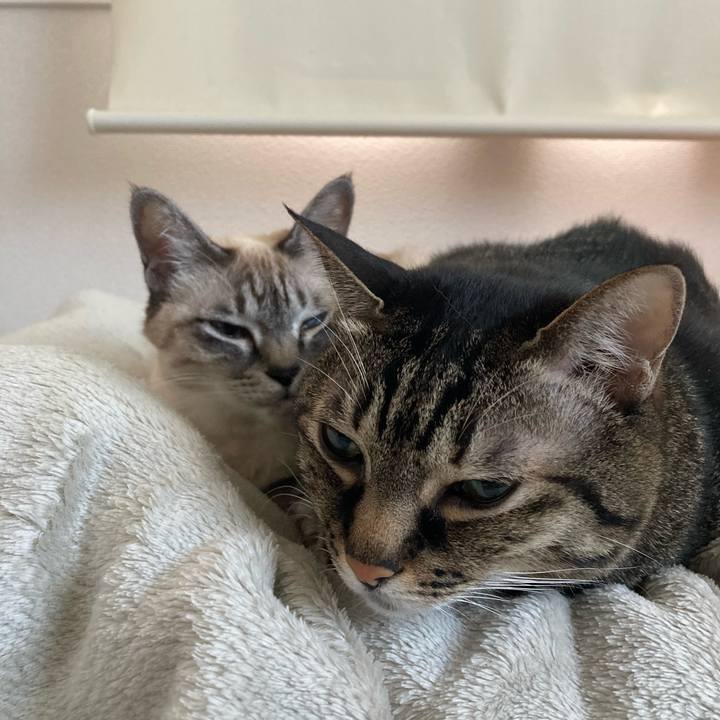 7e1dc641 e87f 410d a1fc c7b2eb9048d8 1735357388110