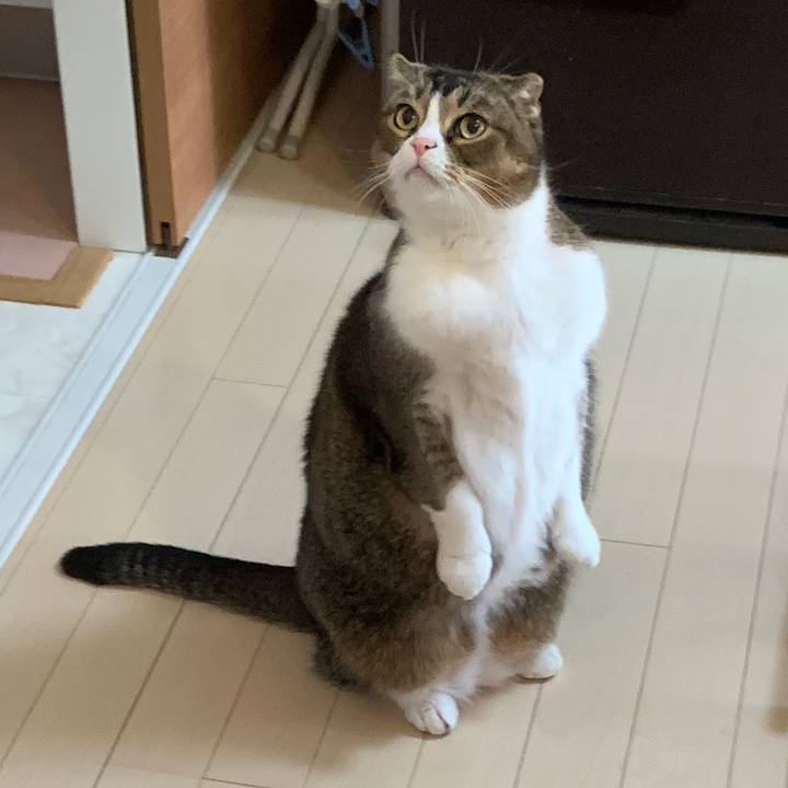 7e1e1d83 a5a2 4abc a083 744192d7f9a1 1575256959472