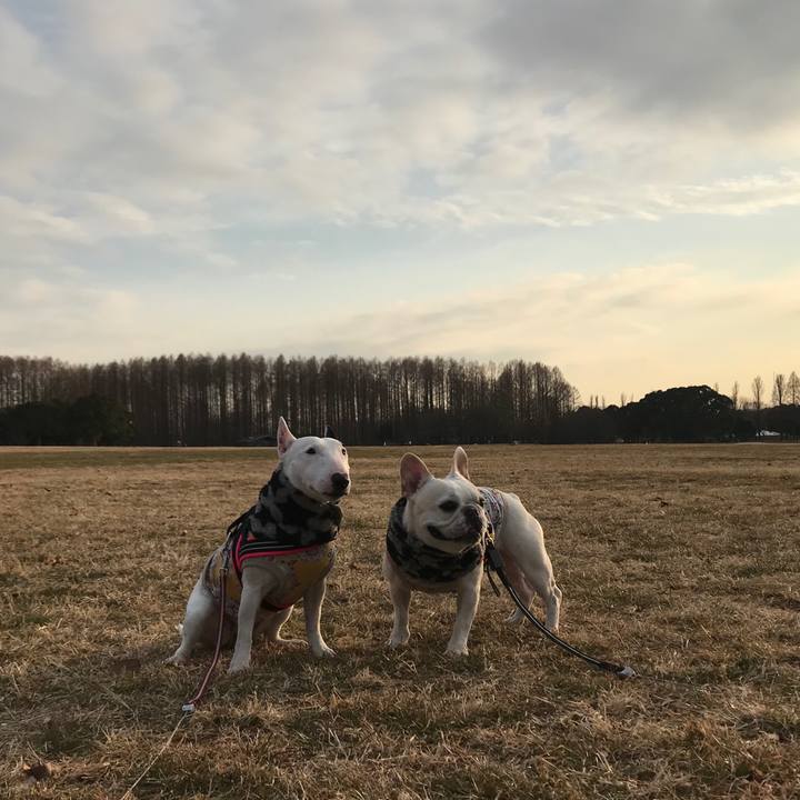 7e1e2dcb b035 48ec 893e d77ea1b3b1ab 1517217846606