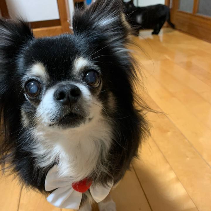 7e1e3b27 e462 4926 8d89 d9739d9aa31c 1581685326574