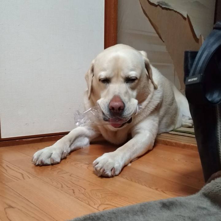 7e1e6567 8c68 4125 a53f df9086b6bb39 1642250777114