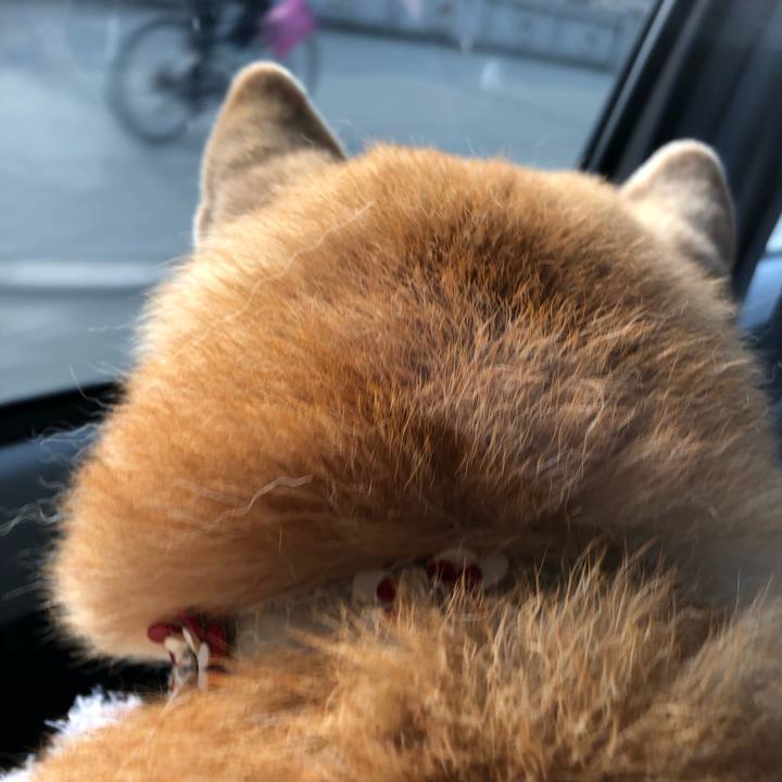 7e1ea117 e5a4 4c2c 97c2 c5f7e6d4169f 1573992753476