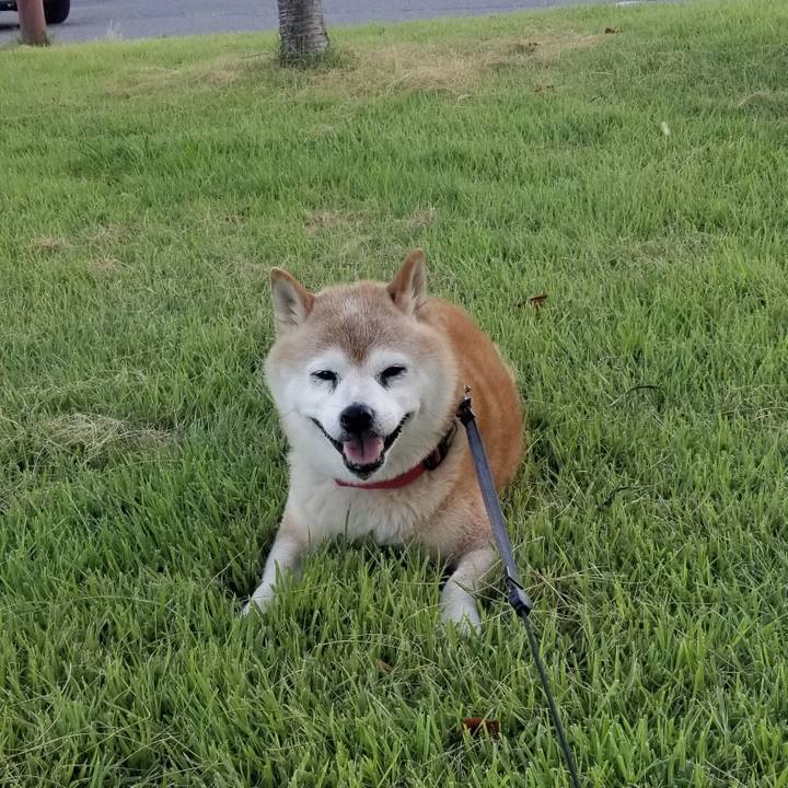 7e1edd29 96df 4ff0 9af6 c64228872674 1723365787970