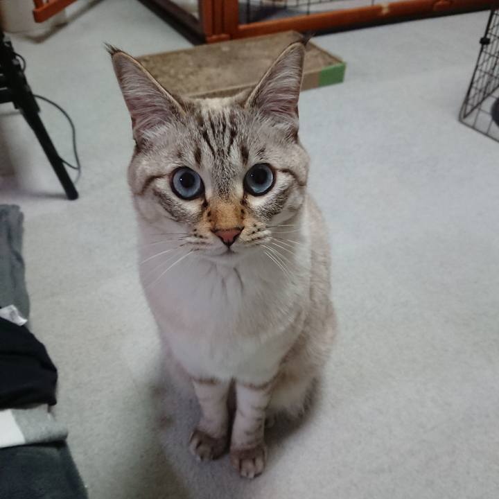 7e1eec3e bd8b 4e21 8967 0fd20db659e4 1575509143795