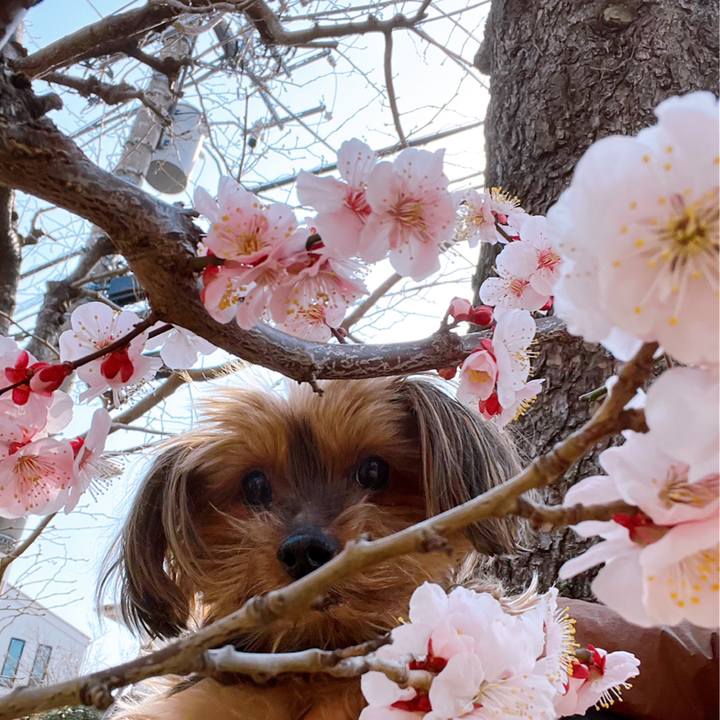 7e1ef62e eec5 460f a53b 314709493dcd 1646963623512