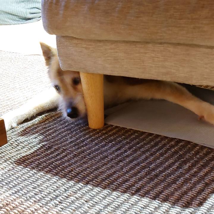 7e1f1607 7fe2 48cb bfd4 f31ccbd76472 1654952285777