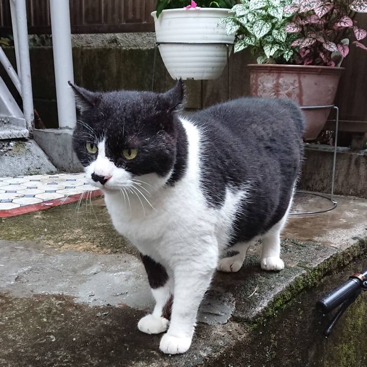 7e1f28d3 7241 422a 9fe6 77061971408b 1625382869472