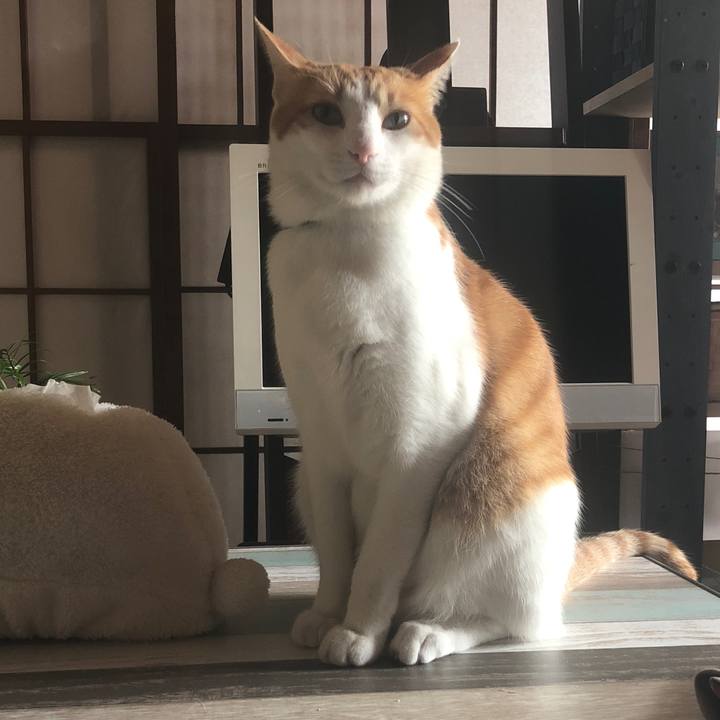 7e1f36fc 8fb8 4167 b918 05851d564acf 1540353256483