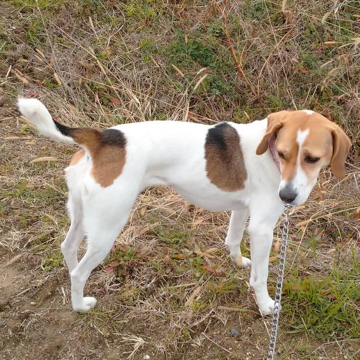 7e1f5406 3032 4432 a8ef 36bcaed23e63 1580024844730