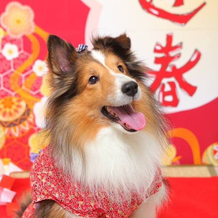 7e1f7c92 4c0a 4dca a6a3 54579aa59fc1 1704065489649