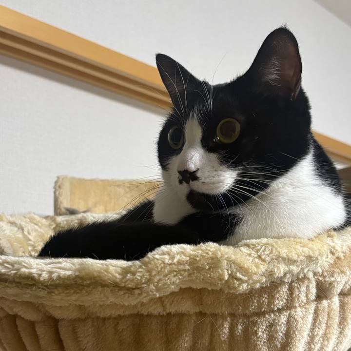 7e1fa196 0f48 4118 bbca 7486b966f1f8 1767923864715