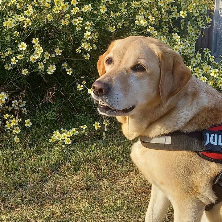 7e1fa5aa 7e37 4873 91fd 4e7ce271b419 1604634802818