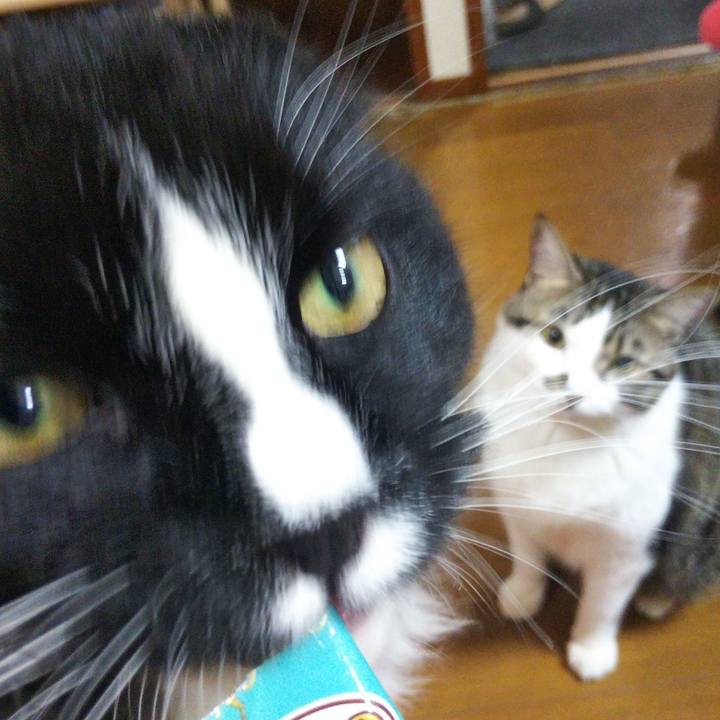 7e202a91 7489 4f4f a5d7 7431c533cb39 1663503415941