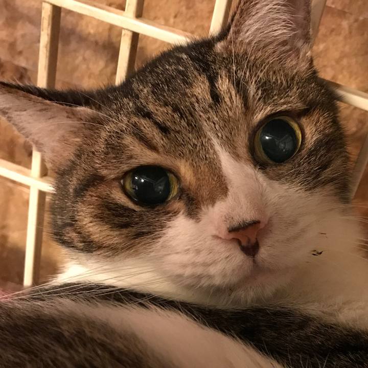 7e20681f 80b6 4f14 9512 1da4ace021b7 1535995262276