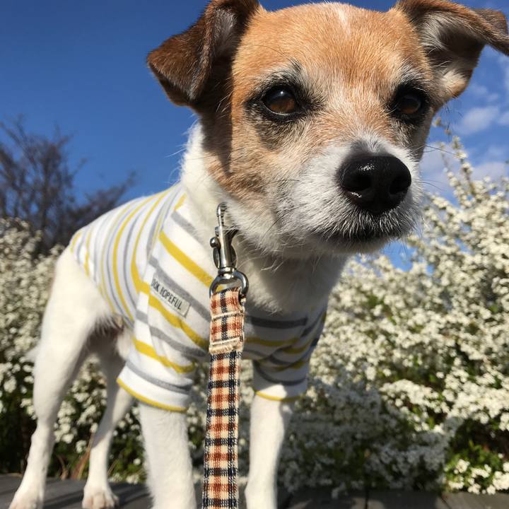 7e2081d7 2a4e 4b80 9e3d f33e2d0cd64e 1583999408561