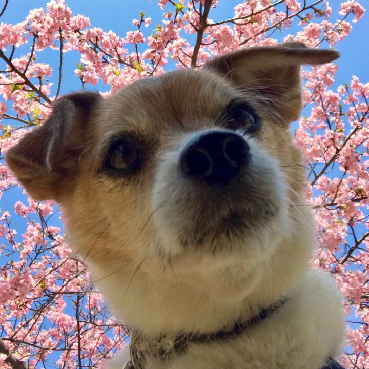 7e208e4a d595 41d6 8ab3 48fe07eff43d 1647061510948